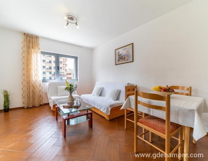 Apartment-for-rent-in-Budva (4)